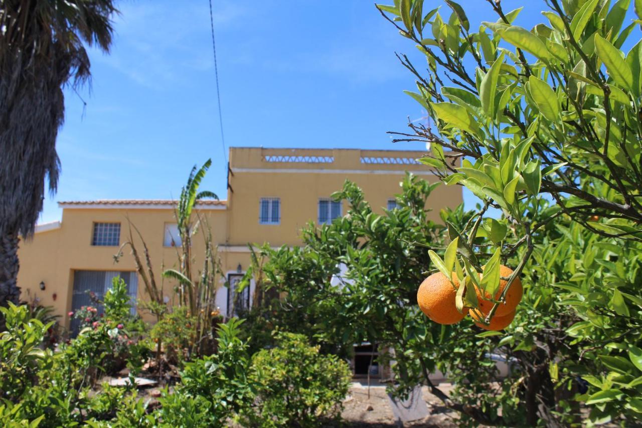 ל'אמפולה Alojamiento Rural Masia Valldeperez מראה חיצוני תמונה