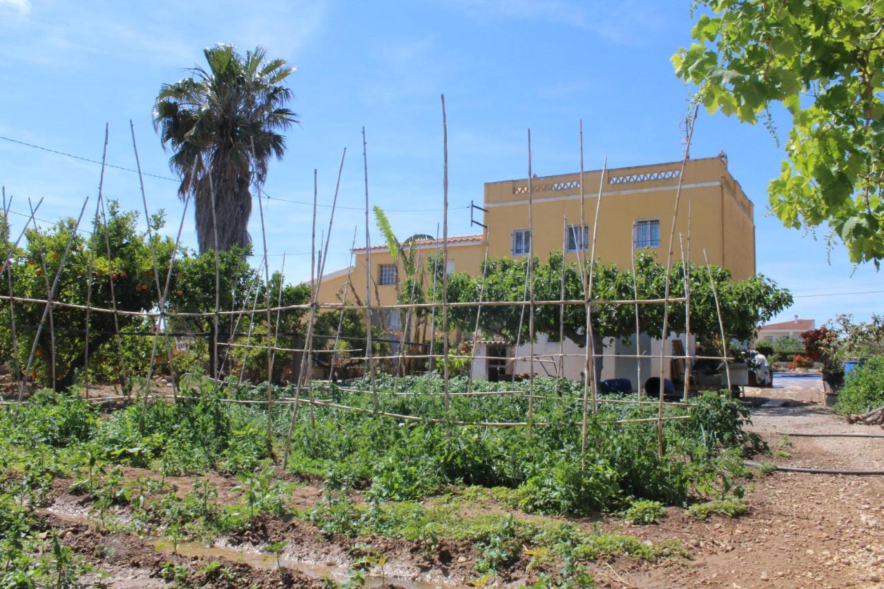 ל'אמפולה Alojamiento Rural Masia Valldeperez מראה חיצוני תמונה